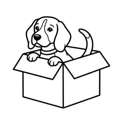 HIDING IN A BOX