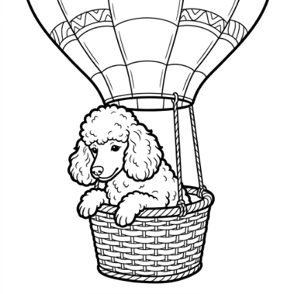 HOT AIR BALLOON