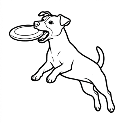 PLAYING FETCH