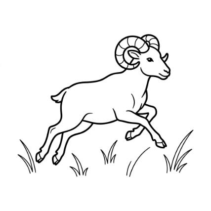 RUNNING RAM