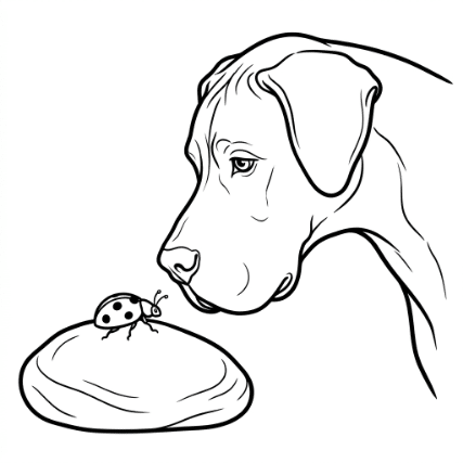 WATCHING A BUG